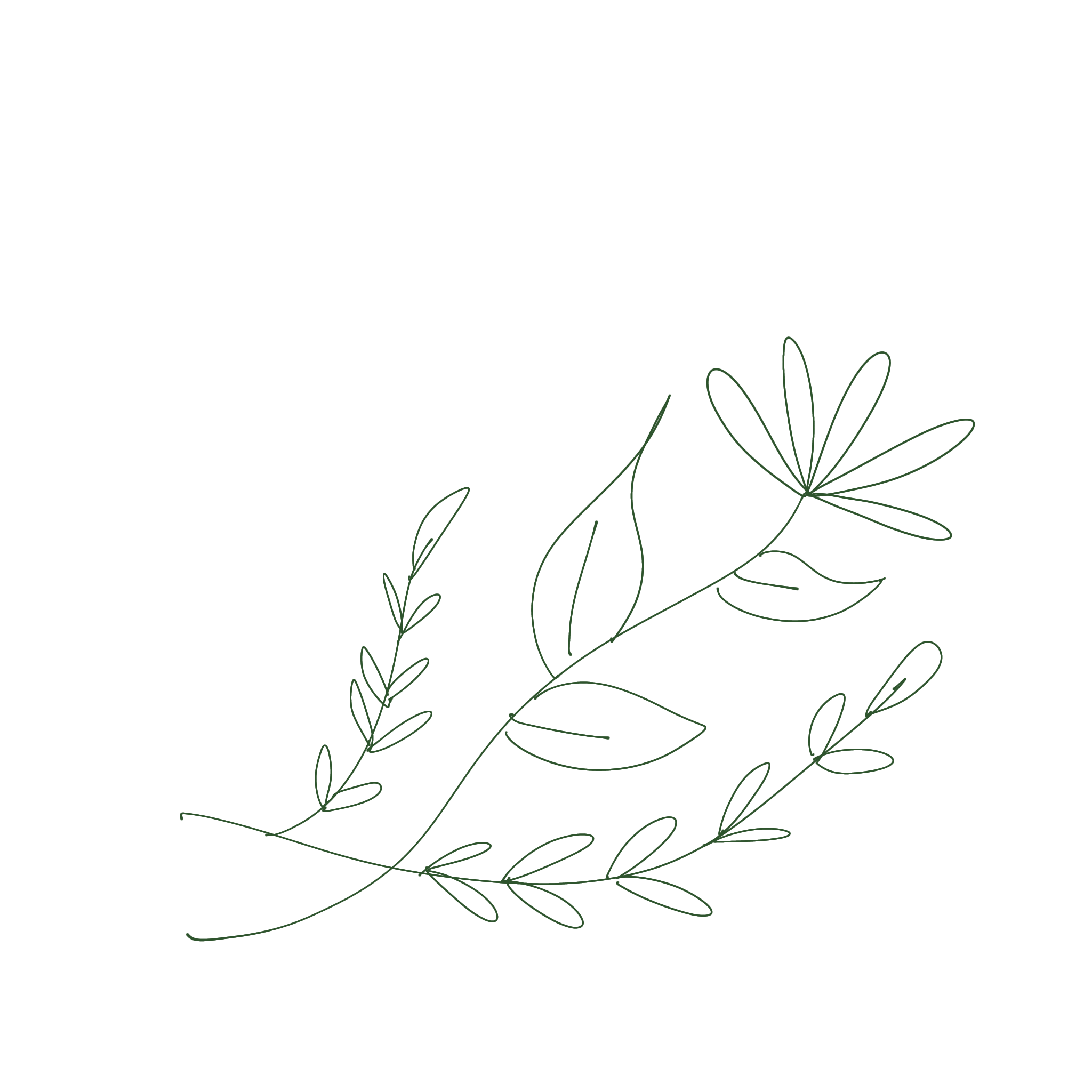 Flower Flair
